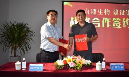 ����ͷ�� ����ɽ�����������������ʢ������ǿǿ�Ž������»��