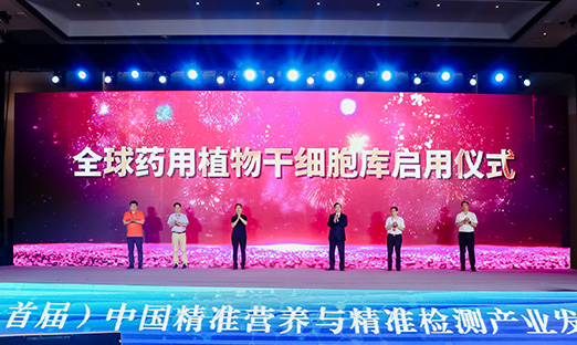 ���ڴ���۱����ٷ���ҳ����������ȫ��ҩ��ֲ���ϸ����