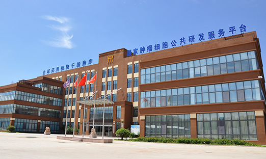 �����ٷ���ҳ������Ѷ|��ʽ����������ҩʳͬԴչ������Ǳ��