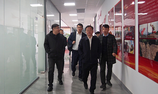 ȫ����Ұ�������ж���