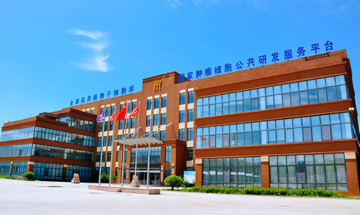 ϲ���������ٷ���ҳ��������ǣͷ��Ŀ�����Ƽ��������ص��з������ص�ר��