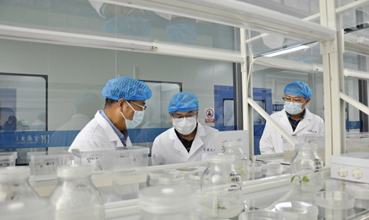 �������Ｏ����ϯ��ѧ��������һ�е��ñ����ٷ���ҳ�������������̺�����ʱ��